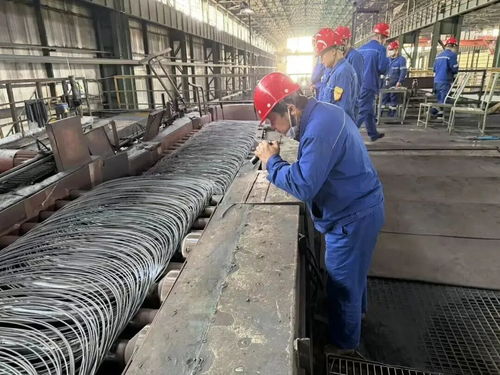 包鋼股份長(zhǎng)材廠實(shí)現(xiàn)新突破，成功試軋不銹鋼線材